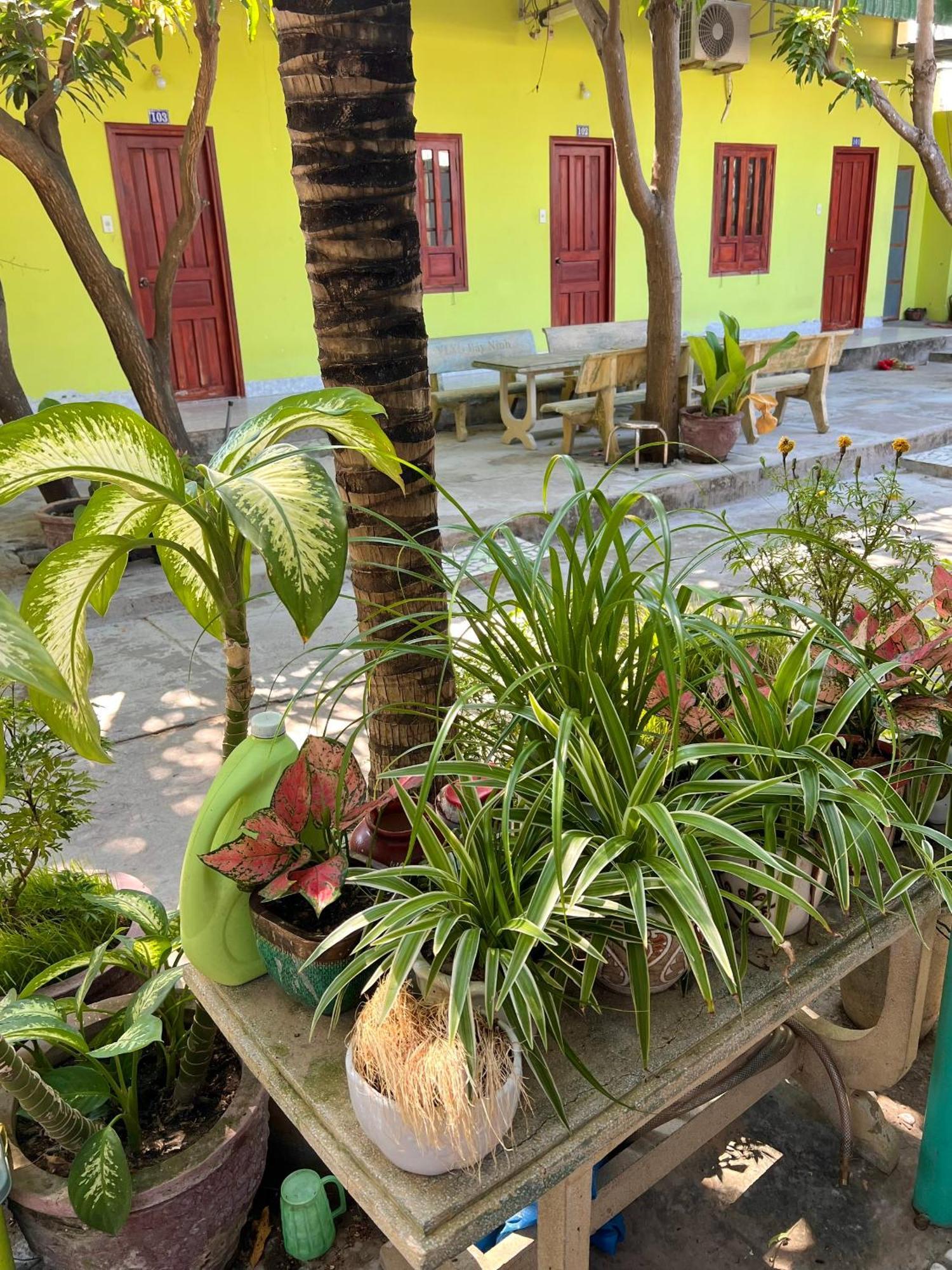 Duc Thao Guest House Mũi Né Exterior foto