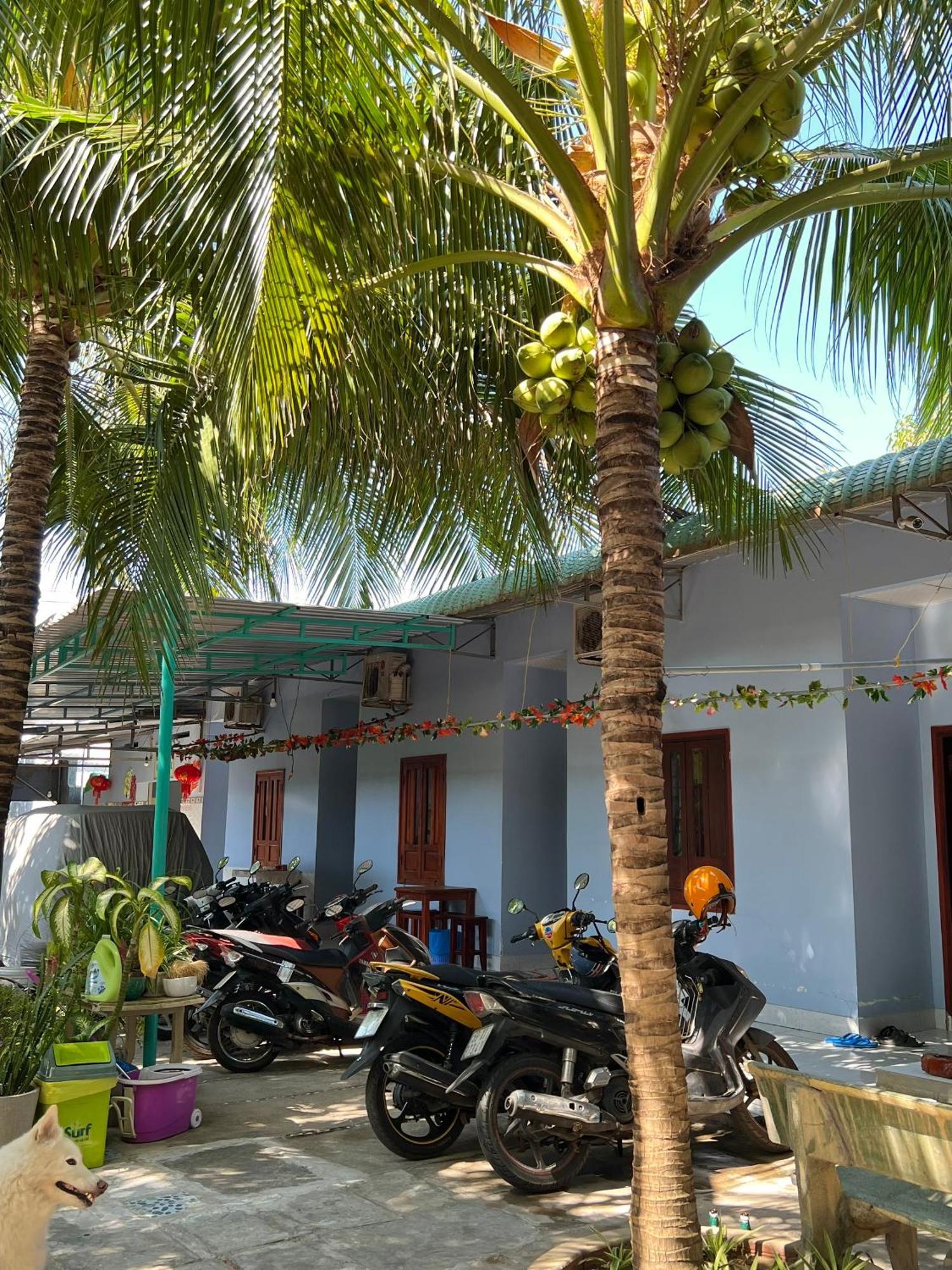 Duc Thao Guest House Mũi Né Exterior foto