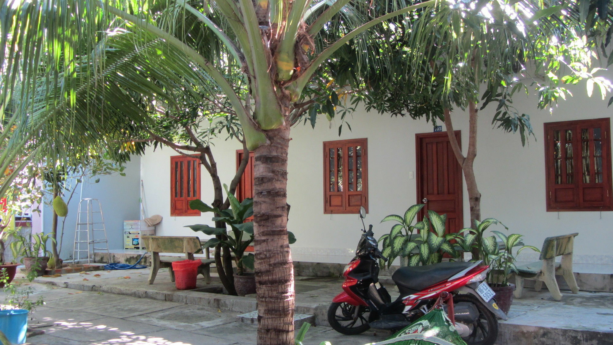 Duc Thao Guest House Mũi Né Exterior foto