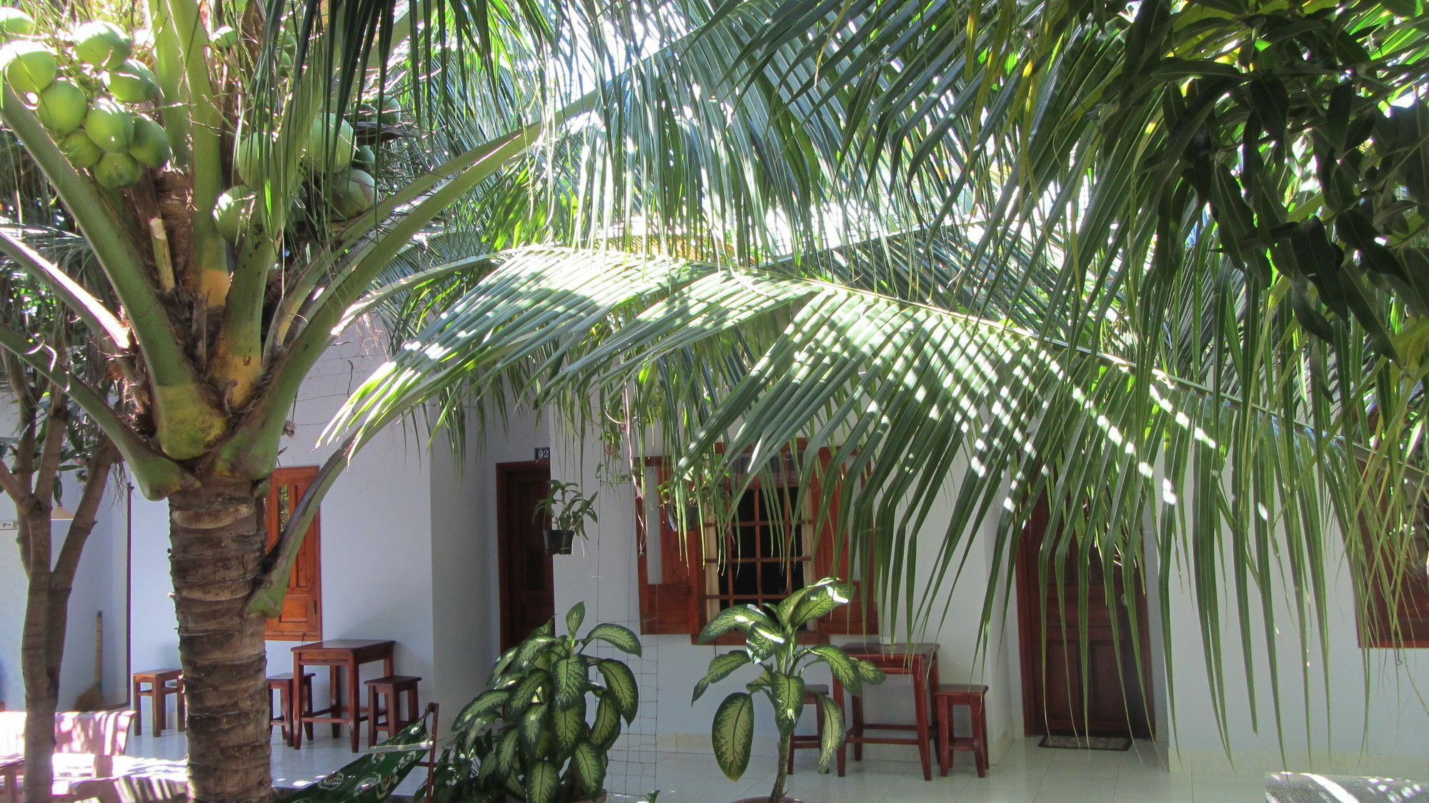 Duc Thao Guest House Mũi Né Exterior foto