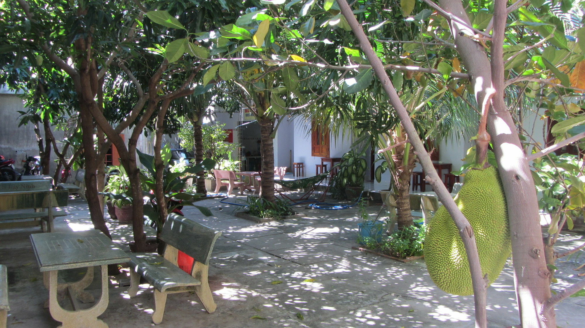 Duc Thao Guest House Mũi Né Exterior foto