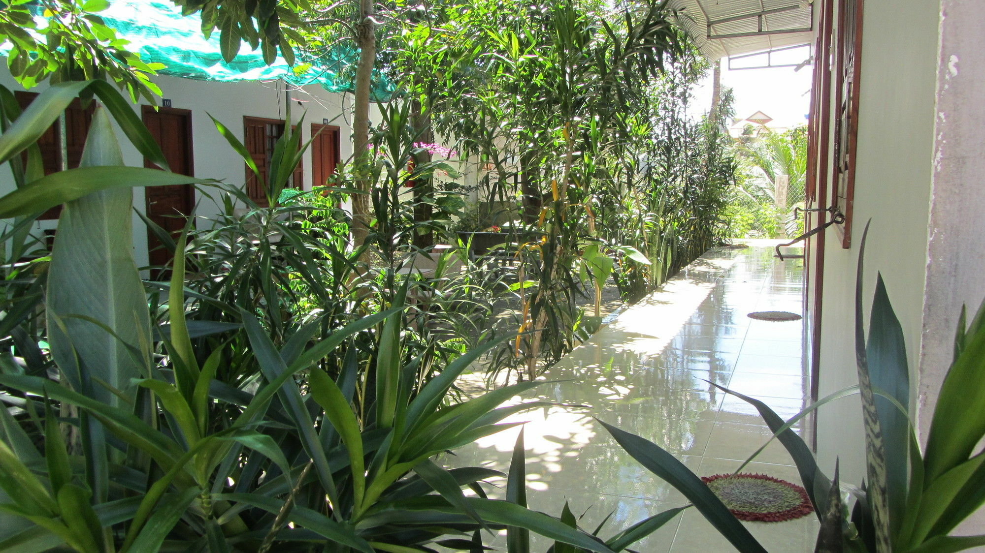 Duc Thao Guest House Mũi Né Exterior foto