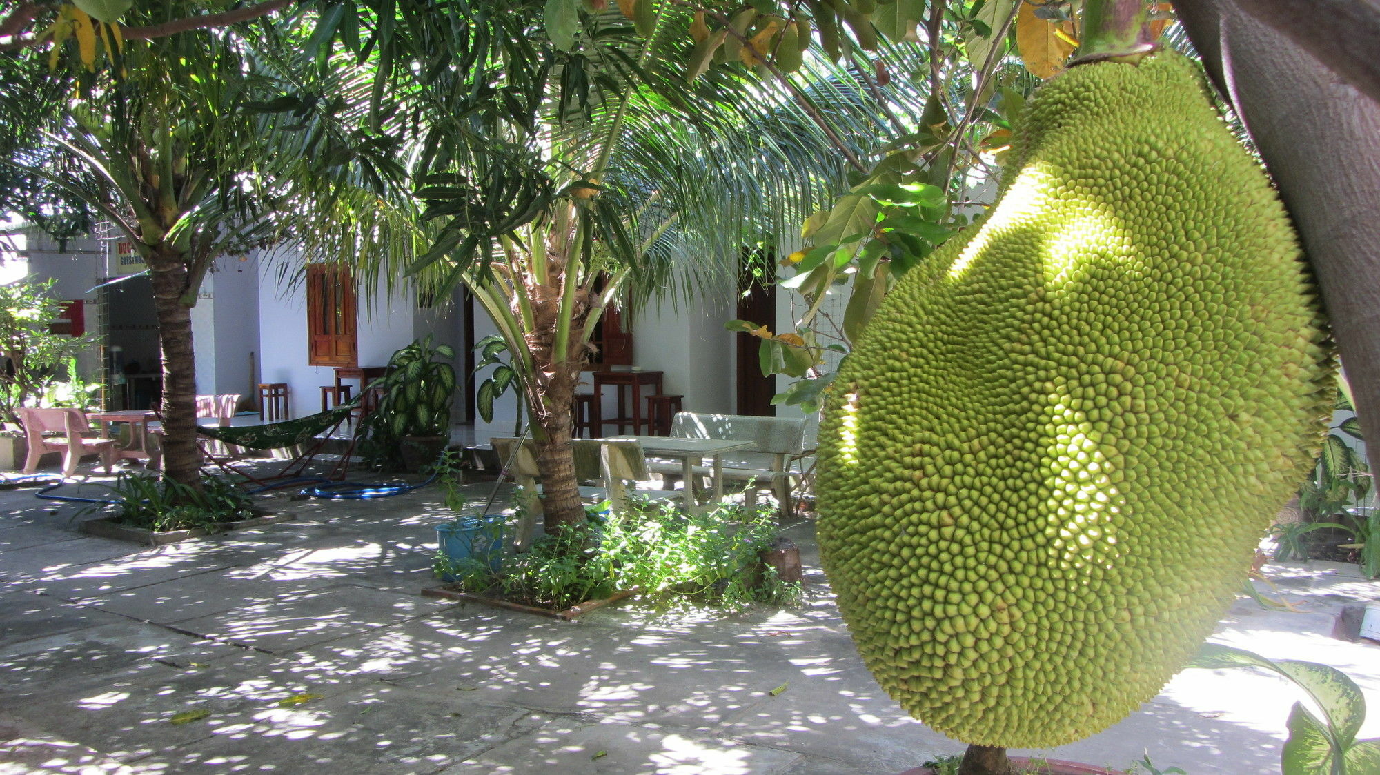 Duc Thao Guest House Mũi Né Exterior foto